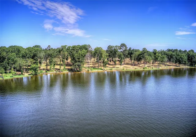 Homes for sale in Chandler, TX | 20580 Wycliff, Chandler, TX 75758 | MLS# 20829225