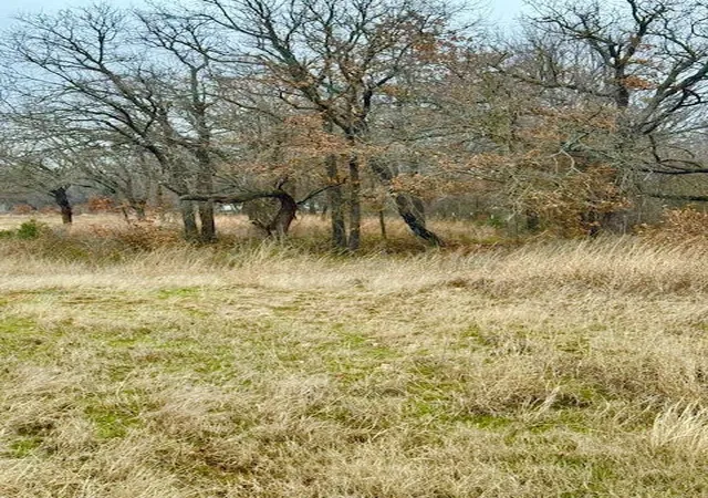 Photo 2 of Land for sale at 702 County Road 3597, Boyd, TX 76023 | MLS# 20831598 | Listing updated on 2026-07-23
