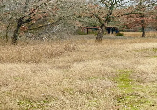 Photo 3 of Land for sale at 702 County Road 3597, Boyd, TX 76023 | MLS# 20831598 | Listing updated on 2026-07-23
