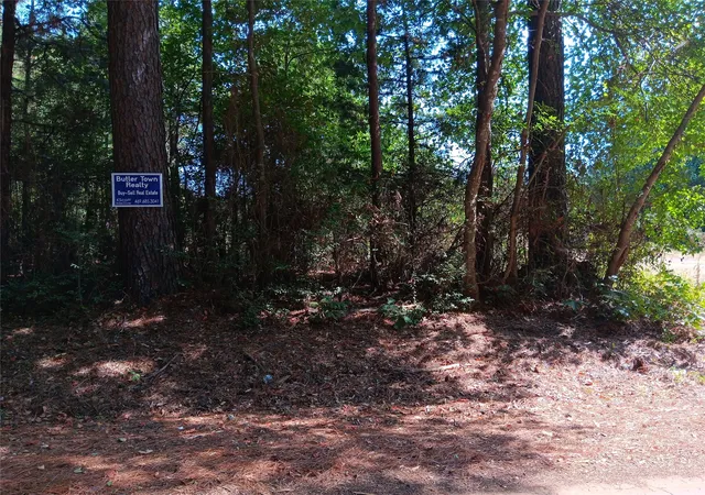Homes for sale in Carthage, TX | Tbd County Road 223, Carthage, TX 75633 | MLS# 20831892