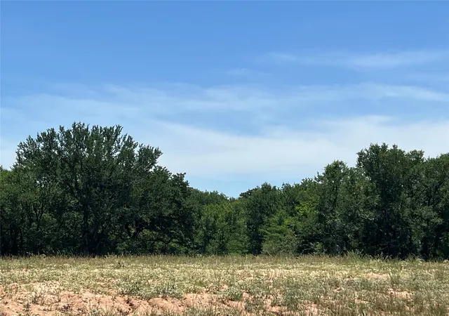 Photo 2 of Land for sale at 226 Stuart St, Paradise, TX 76073 | MLS# 20835899 | Listing updated on 2026-07-06