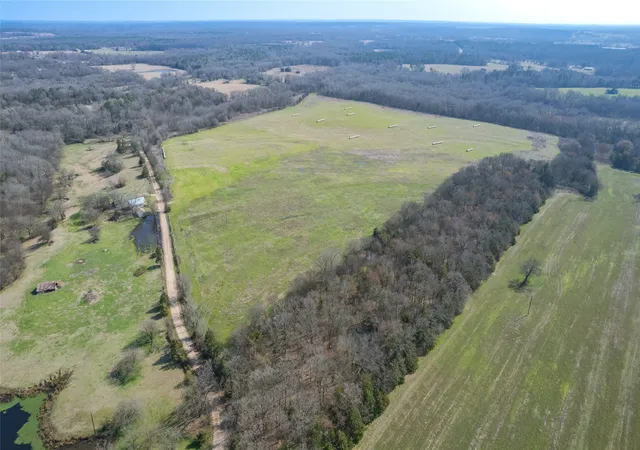 Photo 2 of Sale Pending at 80ac Lot2 County Road 2376 #2, Winnsboro, TX 75494 | MLS# 20832182 | Listing updated on 2026-09-25