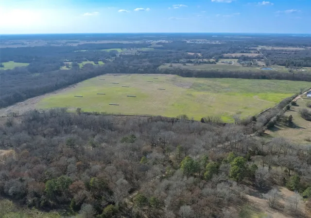 Photo 3 of Sale Pending at 80ac Lot2 County Road 2376 #2, Winnsboro, TX 75494 | MLS# 20832182 | Listing updated on 2026-09-25
