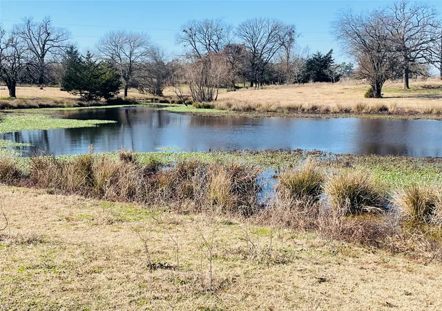 Photo 3 of Sale Pending at 1155 County Road 2376 #Tract 2A, Winnsboro, TX 75494 | MLS# 20833348 | Listing updated on 2026-07-26