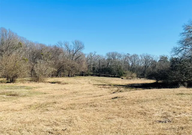 Photo 3 of Sale Pending at 1155 County Road 2376 #Tract 2A, Winnsboro, TX 75494 | MLS# 20833348 | Listing updated on 2026-07-26