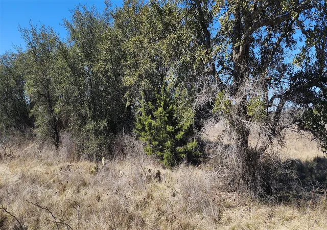 Photo 3 of Land for sale at 100 Elzy Lay Ct, Eastland, TX 76448 | MLS# 20838578 | Listing updated on 2026-08-03