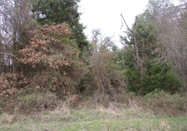 Homes for sale in Emory, TX | Tbd Rains County Road 3040, Emory, TX 75440 | MLS# 20838996
