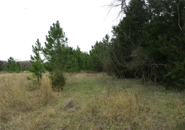 Homes for sale in Emory, TX | Tbd Rains County Road 3040, Emory, TX 75440 | MLS# 20838996