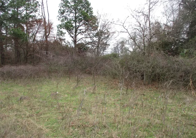 Homes for sale in Emory, TX | Tbd Rains County Road 3040, Emory, TX 75440 | MLS# 20838996
