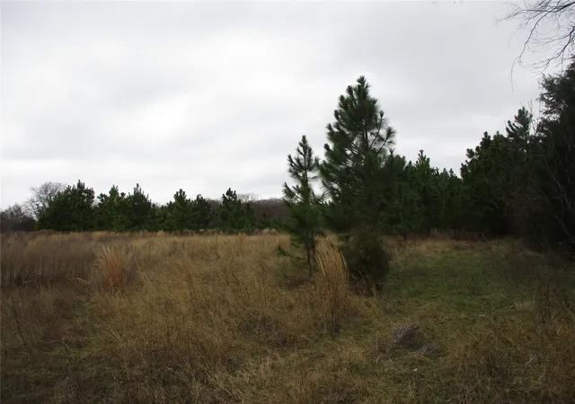 Homes for sale in Emory, TX | Tbd Rains County Road 3040, Emory, TX 75440 | MLS# 20838996
