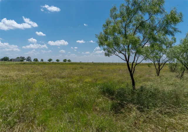 Homes for sale in Bradshaw, TX | T1 County Road 204, Bradshaw, TX 79567 | MLS# 20841773
