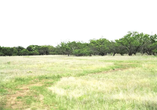 Homes for sale in Jacksboro, TX | (Undisclosed), Jacksboro, TX 76458 | MLS# 20843961