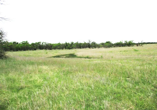 Homes for sale in Jacksboro, TX | (Undisclosed), Jacksboro, TX 76458 | MLS# 20843961