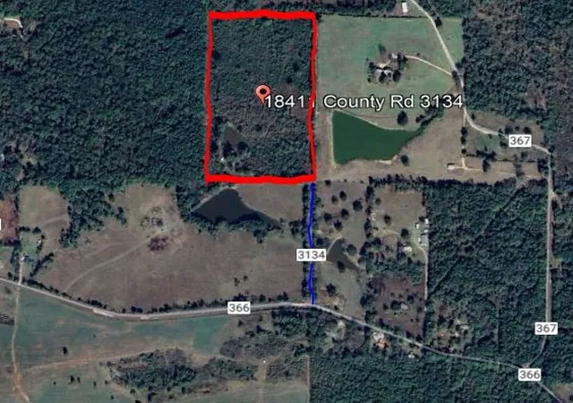 Homes for sale in Winona, TX | 18411 County Road 3134, Winona, TX 75792 | MLS# 20846780
