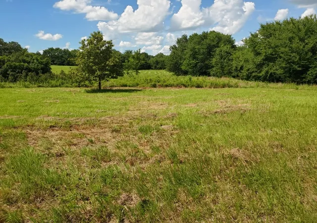 Photo 4 of Land for sale at Lot 3 Rains Cr1140 Rd, Emory, TX 75440 | MLS# 20846970 | Listing updated on 2026-09-22