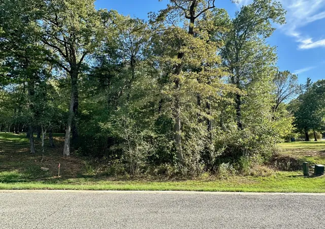 Homes for sale in Gordonville, TX | 27a Annadale Ln, Gordonville, TX 76245 | MLS# 20847697