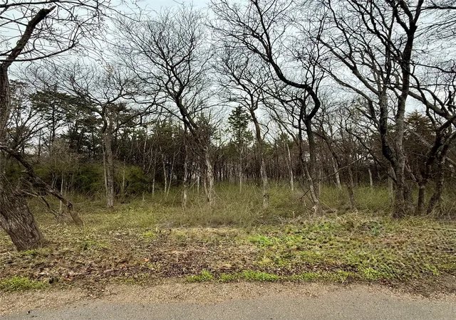 Photo 3 of Land for sale at 3203 Persimmon Rd, Dallas, TX 75241 | MLS# 20847776 | Listing updated on 2026-07-21