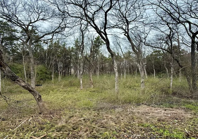 Photo 3 of Land for sale at 3203 Persimmon Rd, Dallas, TX 75241 | MLS# 20847776 | Listing updated on 2026-07-21