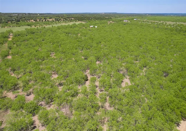 Homes for sale in Brookesmith, TX | Tbd C R 211, Brookesmith, TX 76827 | MLS# 20851648