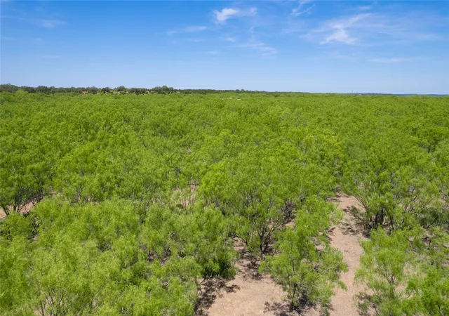 Homes for sale in Brookesmith, TX | Tbd C R 211, Brookesmith, TX 76827 | MLS# 20851648