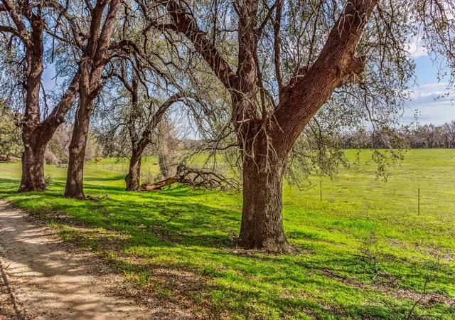 Photo 4 of Land for sale at Tbd-4 Cr 160, Bluff Dale, TX 76433 | MLS# 20853164 | Listing updated on 2026-09-23