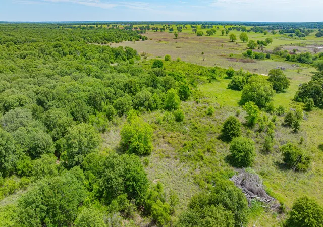 Homes for sale in Rising Star, TX | 0000 County Road 380, Rising Star, TX 76471 | MLS# 20854863