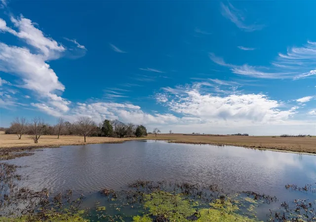 Photo 3 of Land for sale at Tbd W Fm-1566, Celeste, TX 75423 | MLS# 20860487 | Listing updated on 2026-07-12