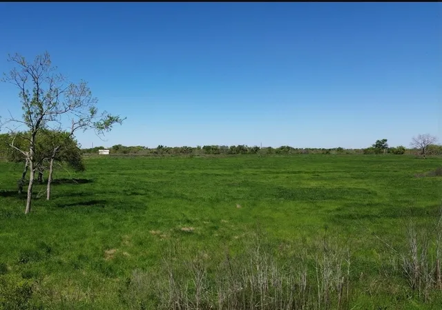 Photo 3 of Land for sale at Lot 1 & 2 County Road 3410, Emory, TX 75440 | MLS# 20861460 | Listing updated on 2026-07-23