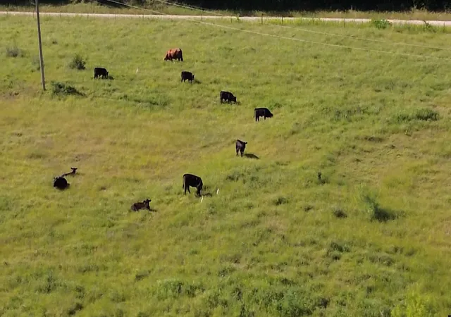 Photo 4 of Land for sale at 75 Acres Wright & Keyes Rd, Sherman, TX 75092 | MLS# 20858540 | Listing updated on 2026-10-07
