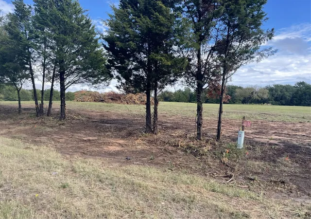 Photo 3 of Land for sale at Tbd Fm 2029, Telephone, TX 75488 | MLS# 20866874 | Listing updated on 2026-07-12