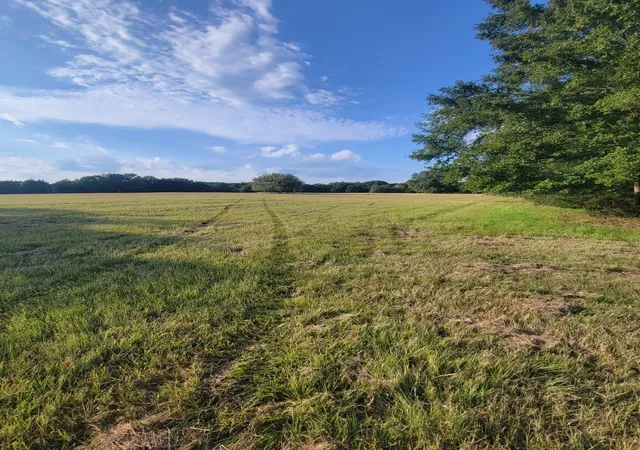 Photo 3 of Land for sale at Tbd Fm-2029, Telephone, TX 75488 | MLS# 20866874 | Listing updated on 2026-07-12