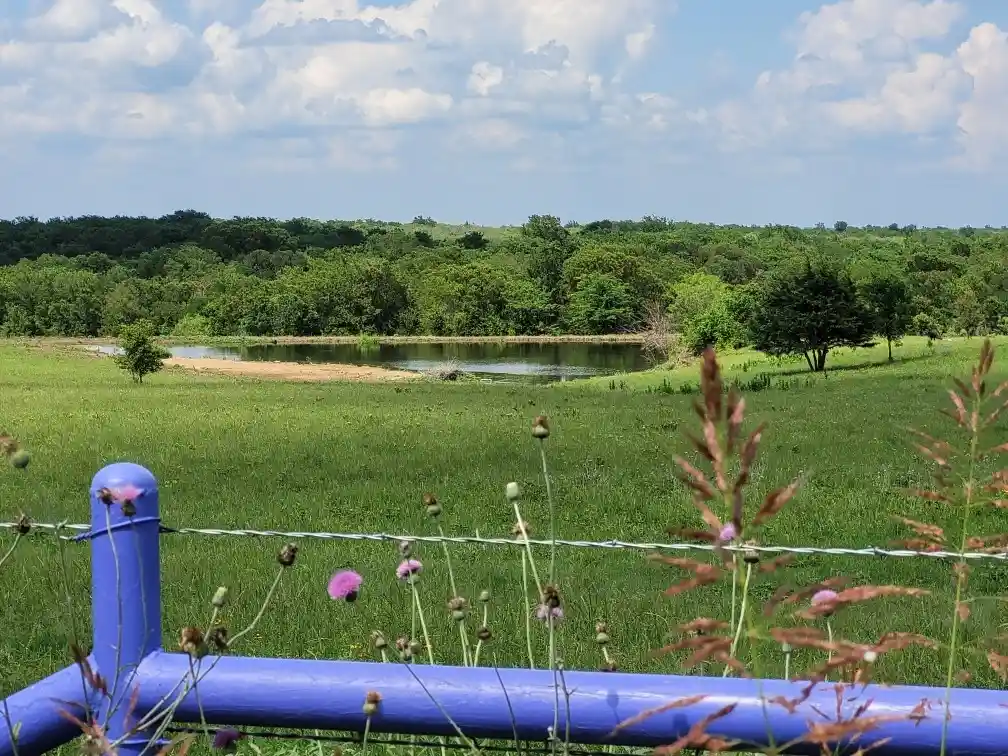 Photo 1 of Land for sale at Tbd County Road 212, Coolidge, TX 76635 | MLS# 20867943 | Listing updated on 2026-03-30