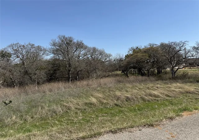Photo 3 of Land for sale at 10053 Bluffview Ct, Whitney, TX 76692 | MLS# 20871368 | Listing updated on 2026-07-22