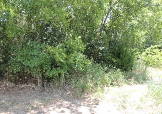 Homes for sale in Greenville, TX | Tbd County Road 3303, Greenville, TX 75401 | MLS# 20865343