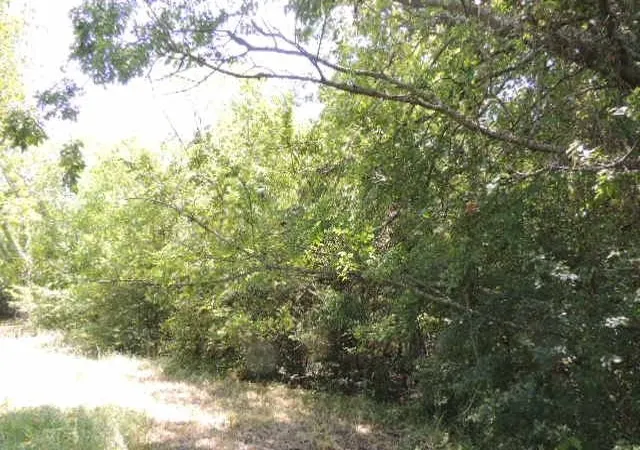 Homes for sale in Greenville, TX | Tbd County Road 3303, Greenville, TX 75401 | MLS# 20865343