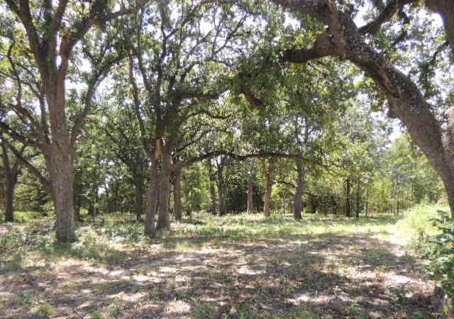 Homes for sale in Greenville, TX | Tbd County Road 3303, Greenville, TX 75401 | MLS# 20865343