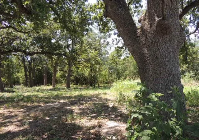 Homes for sale in Greenville, TX | Tbd County Road 3303, Greenville, TX 75401 | MLS# 20865343