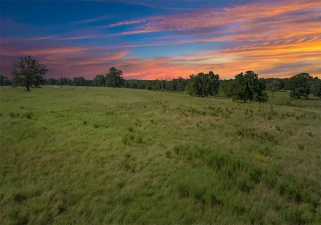Land for sale at Tbd Lcr 707, Kosse, TX 76653 | MLS# 216134