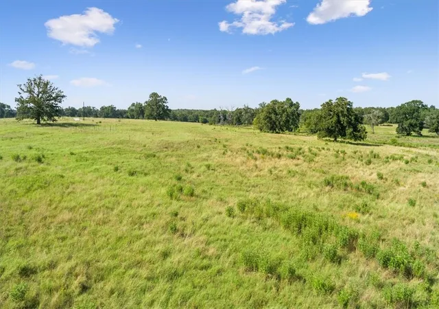 Photo 3 of Land for sale at Tbd Lcr 707, Kosse, TX 76653 | MLS# 216134 | Listing updated on 2026-09-05