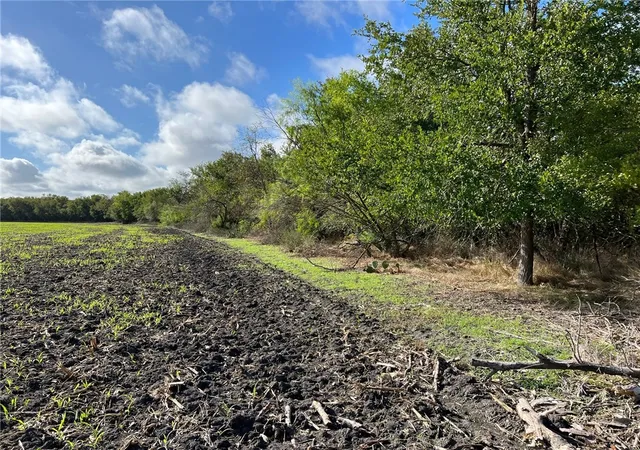 Photo 1 of Land for sale at Tbd Cr 117 Rd, Rogers, TX 76569 | MLS# 210704 | Listing updated on 2026-08-31