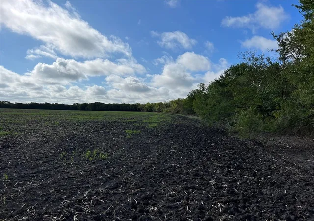Photo 3 of Land for sale at Tbd Cr 117 Rd, Rogers, TX 76569 | MLS# 210704 | Listing updated on 2026-08-31
