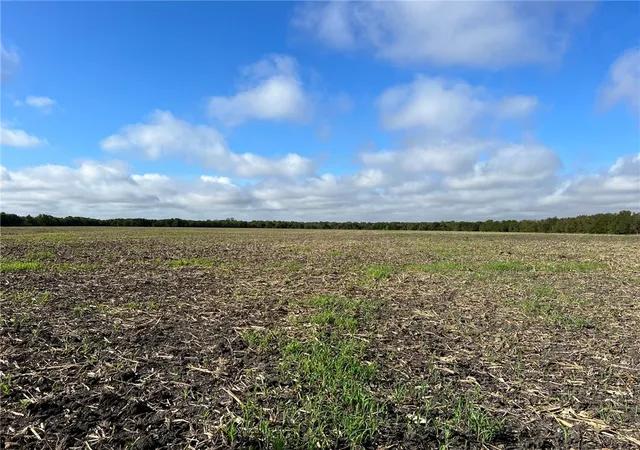 Photo 1 of Land for sale at Tbd Cr 117 Rd, Rogers, TX 76569 | MLS# 210704 | Listing updated on 2026-10-02