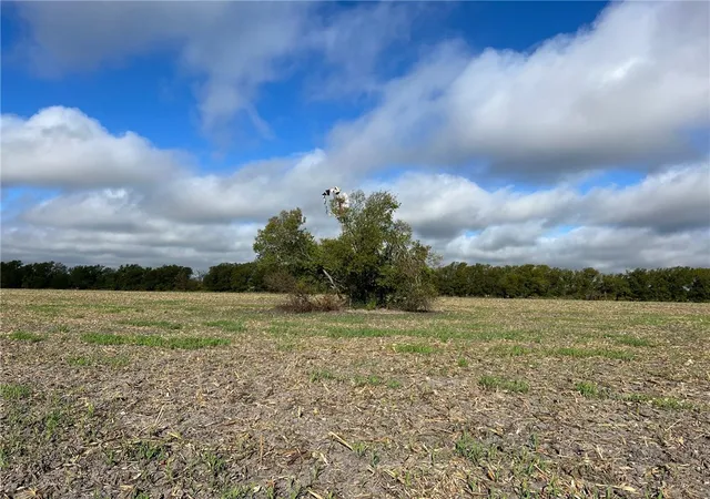 Photo 2 of Land for sale at Tbd Cr 117 Rd, Rogers, TX 76569 | MLS# 210704 | Listing updated on 2026-10-02