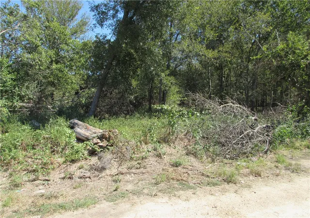 Photo 1 of Land for sale at 0 Cr 2872 St, Marlin, TX 76661 | MLS# 226619 | Listing updated on 2026-08-31