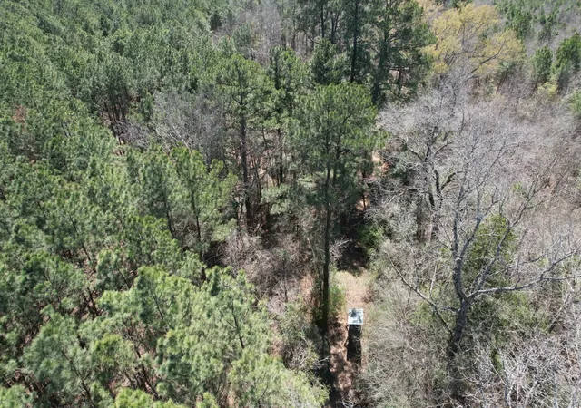 4th image of Tbd Billy Ray Rd, Marshall, TX 75672 | MLS# 20876837