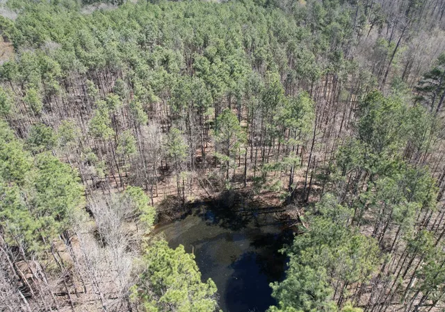 5th image of Tbd Billy Ray Rd, Marshall, TX 75672 | MLS# 20876837