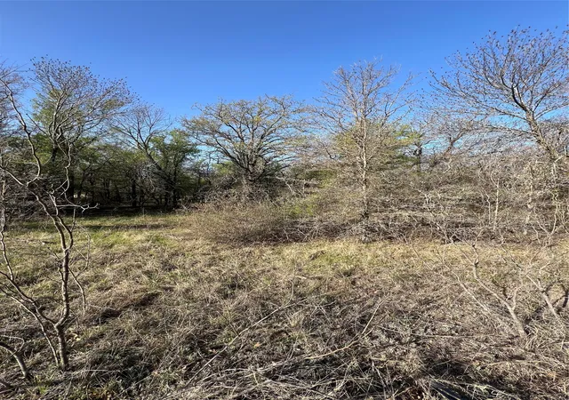 11th image of 0000 Lanai Ct, Runaway Bay, TX 76426 | MLS# 20877171