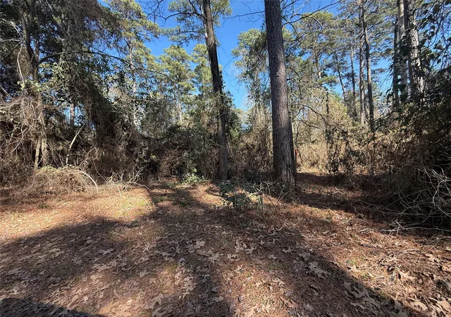 Photo 1 of Land for sale at Lot 5 Private Road 8573, Winnsboro, TX 75494 | MLS# 20877329 | Listing updated on 2026-04-13