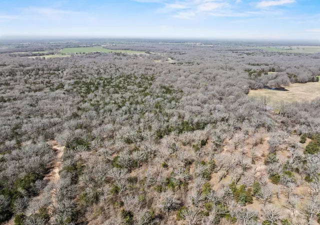 Homes for sale in Ivanhoe, TX | 1393 County Road 2250, Ivanhoe, TX 75447 | MLS# 20876479