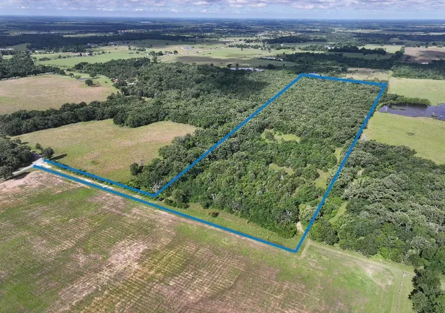 Photo 1 of Land for sale at 760 Vz County Rd #2315, Eustace, TX 75124 | MLS# 20878384 | Listing updated on 2026-08-24